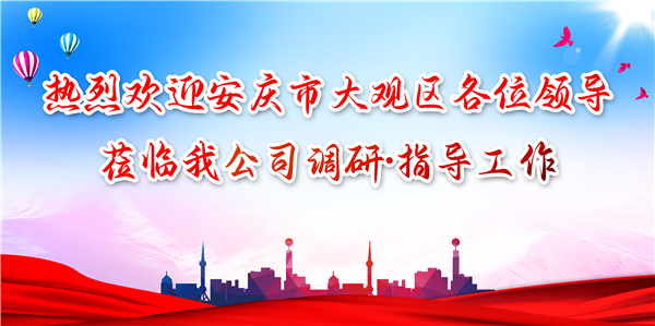 安慶市大觀區(qū)領導蒞臨我公司調(diào)研工作，為發(fā)展注入新動力